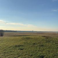 Profilbild von Max Austermann